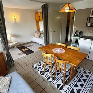 Centre Pied De Piste Appartement